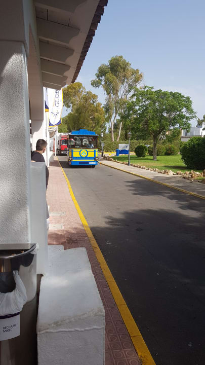 Sonstiges Globales Bouganvilla