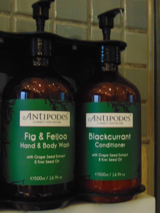 Zimmer Hotel Crowne Plaza Changi Airport