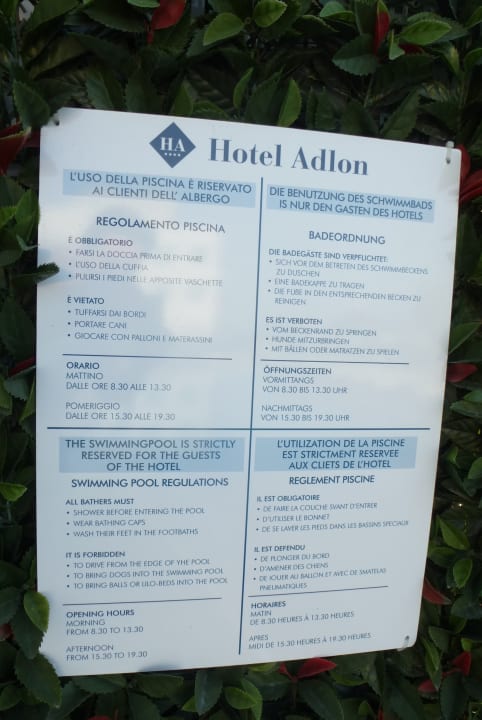 Pool Hotel Adlon