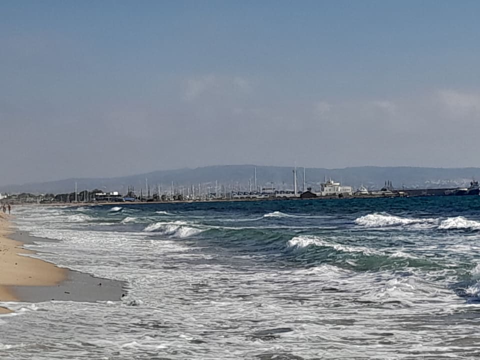 Ausblick Iberostar Waves Averroes