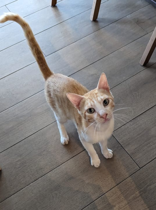 Sonstiges Dreams Corfu Resort & Spa