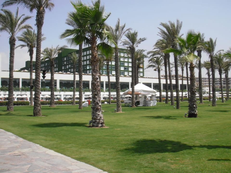 Palm garden Adam & Eve - Adults only