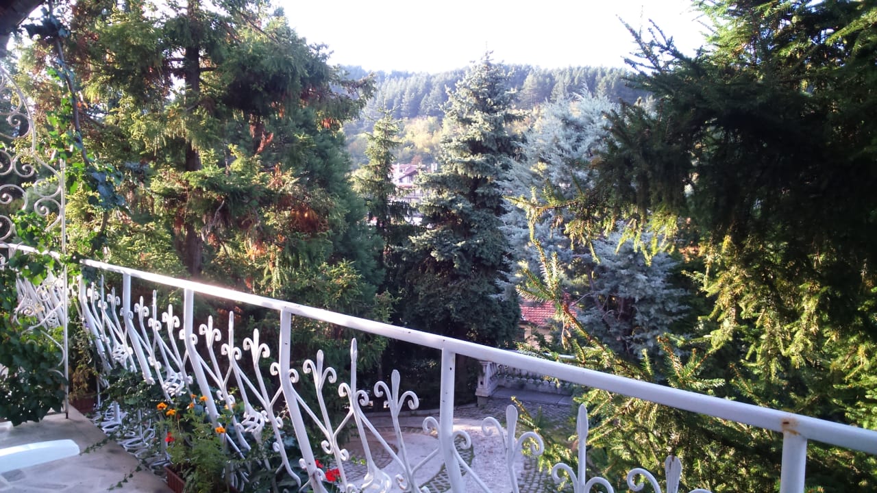 Außenansicht Park Hotel Amfora