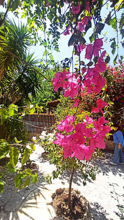 Gartenanlage Porto Koukla Beach