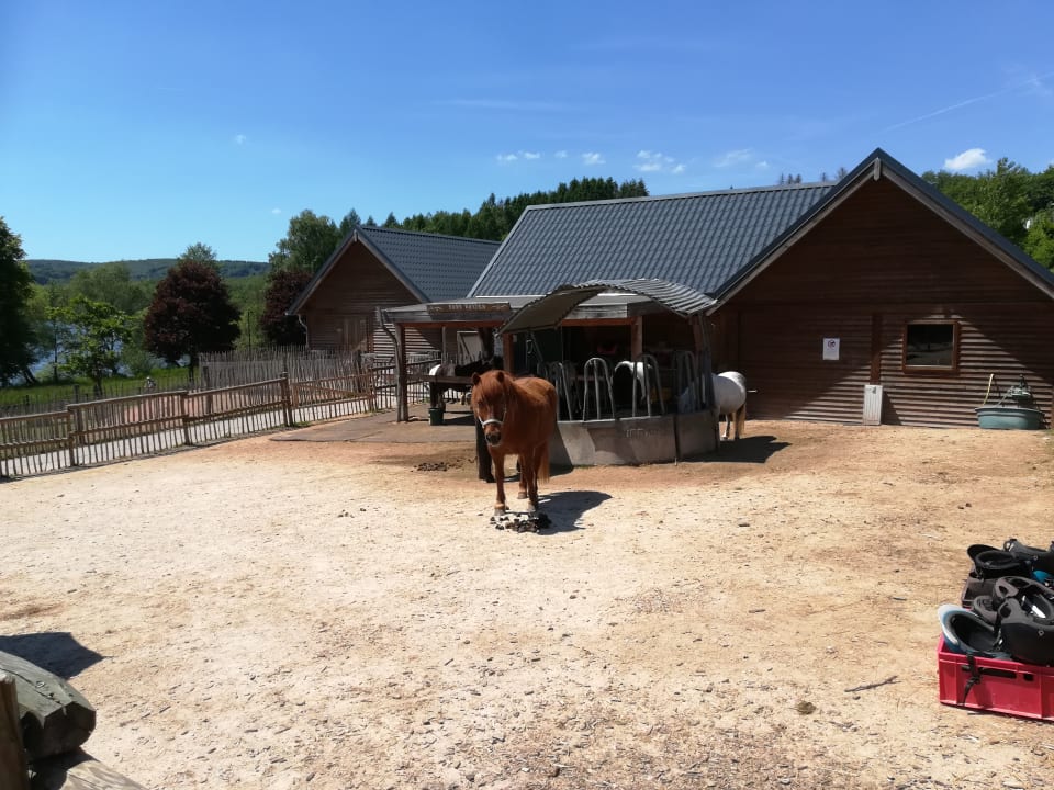 Sonstiges Center Parcs Park Bostalsee