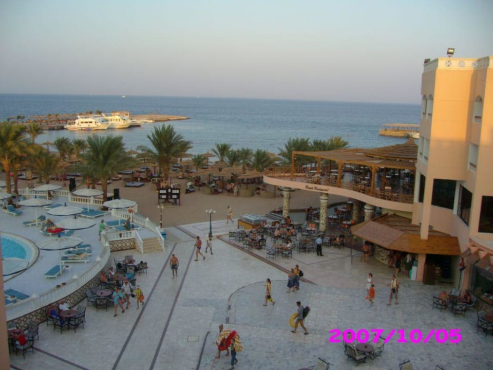 Terrasse des Hotels Beach Albatros Resort