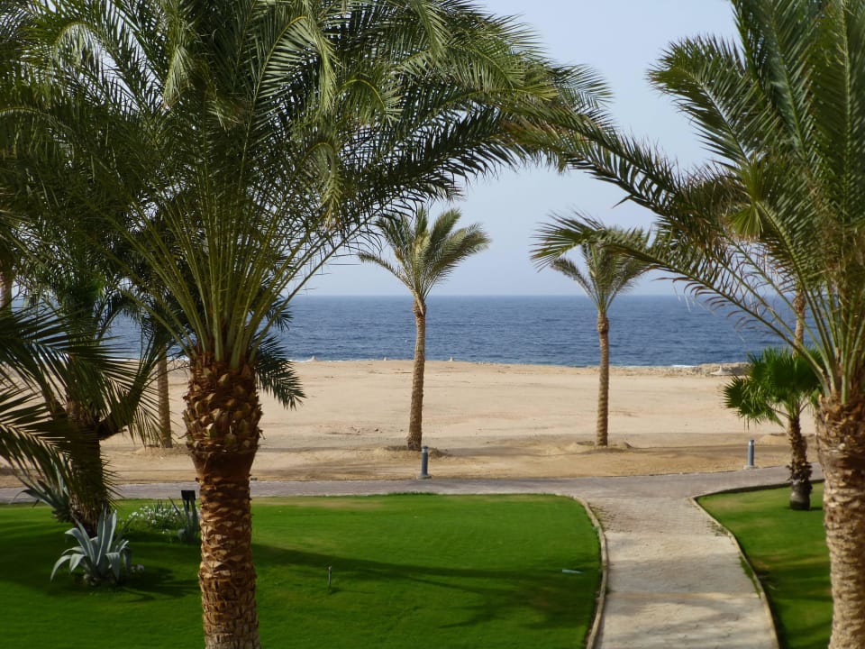 Zimmerblick Steigenberger Coraya Beach - Adults only