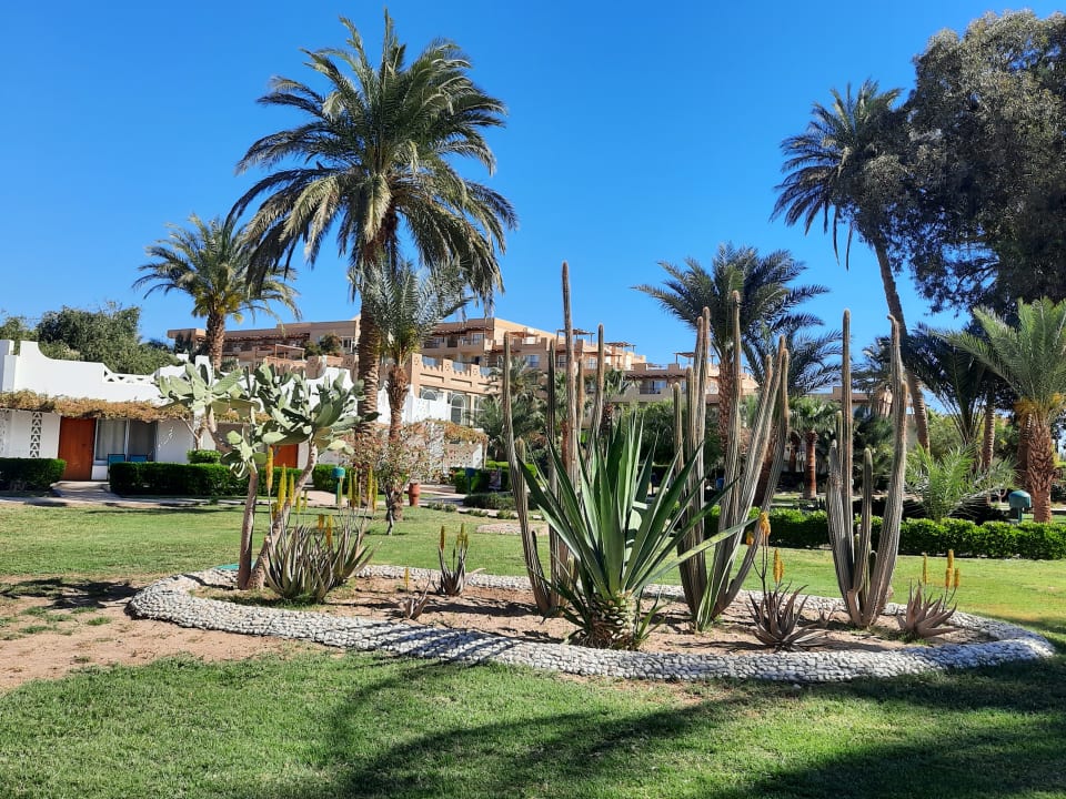 Gartenanlage Shams Safaga Resort