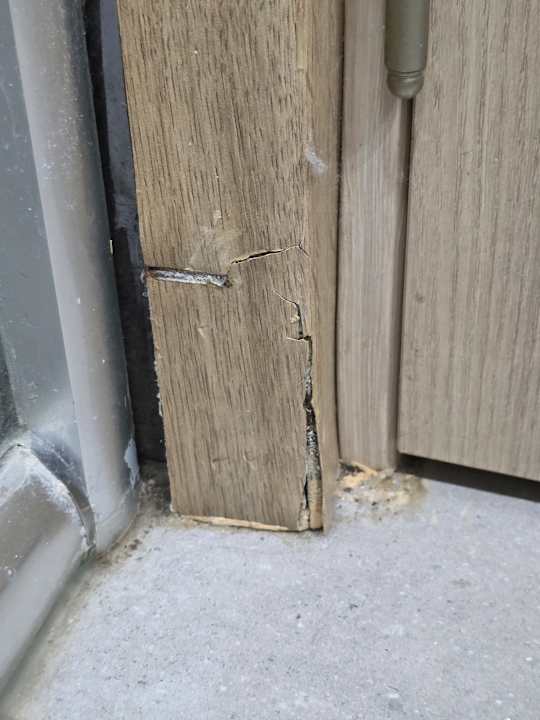 Zimmer AQI Pegasos World