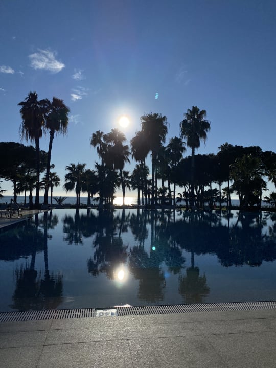 Pool Acanthus Cennet Barut Collection