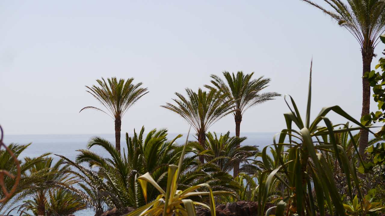 Ausblick R2 Rio Calma Hotel & Spa & Conference