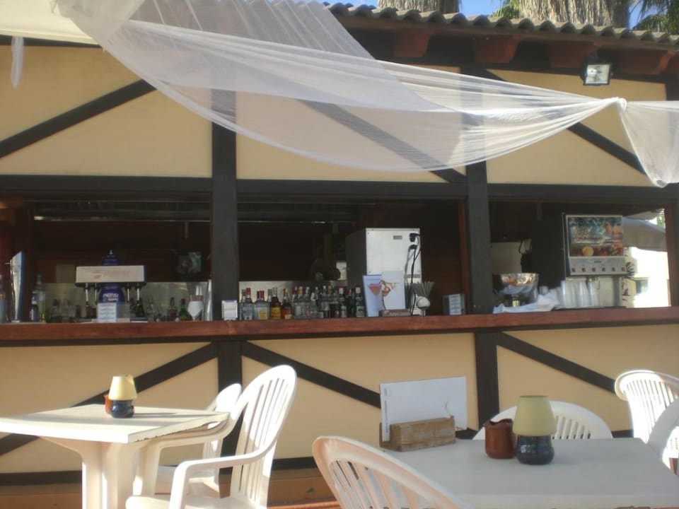 Poolbar Garden Saladina