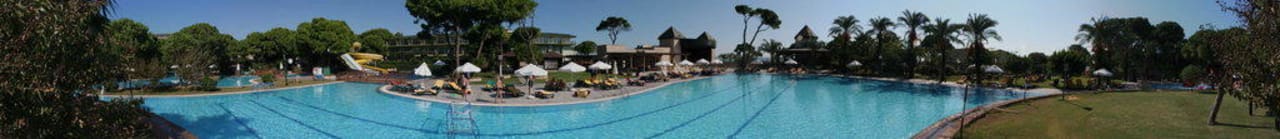 Panorama Papillon Ayscha Papillon Ayscha