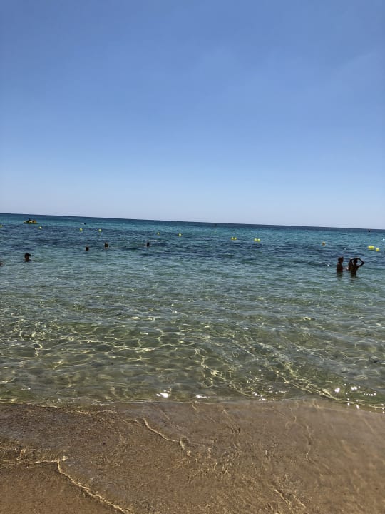 Strand Hotel Royal Nozha