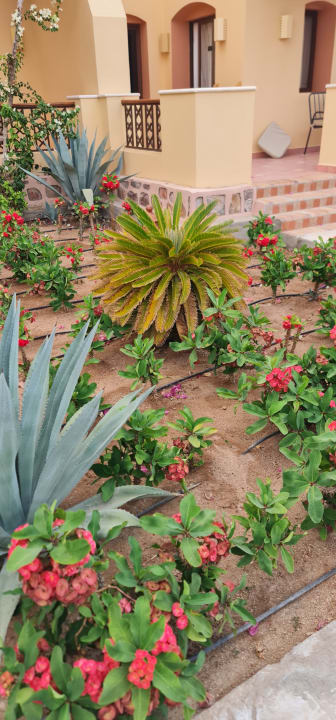 Außenansicht Steigenberger Coraya Beach - Adults only