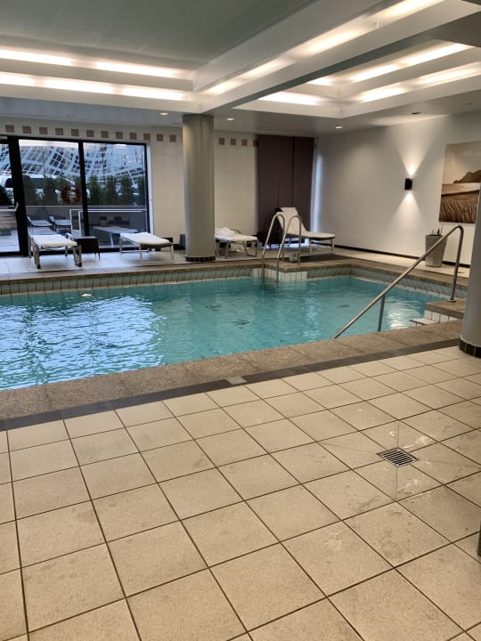 Pool Hyatt Regency Köln