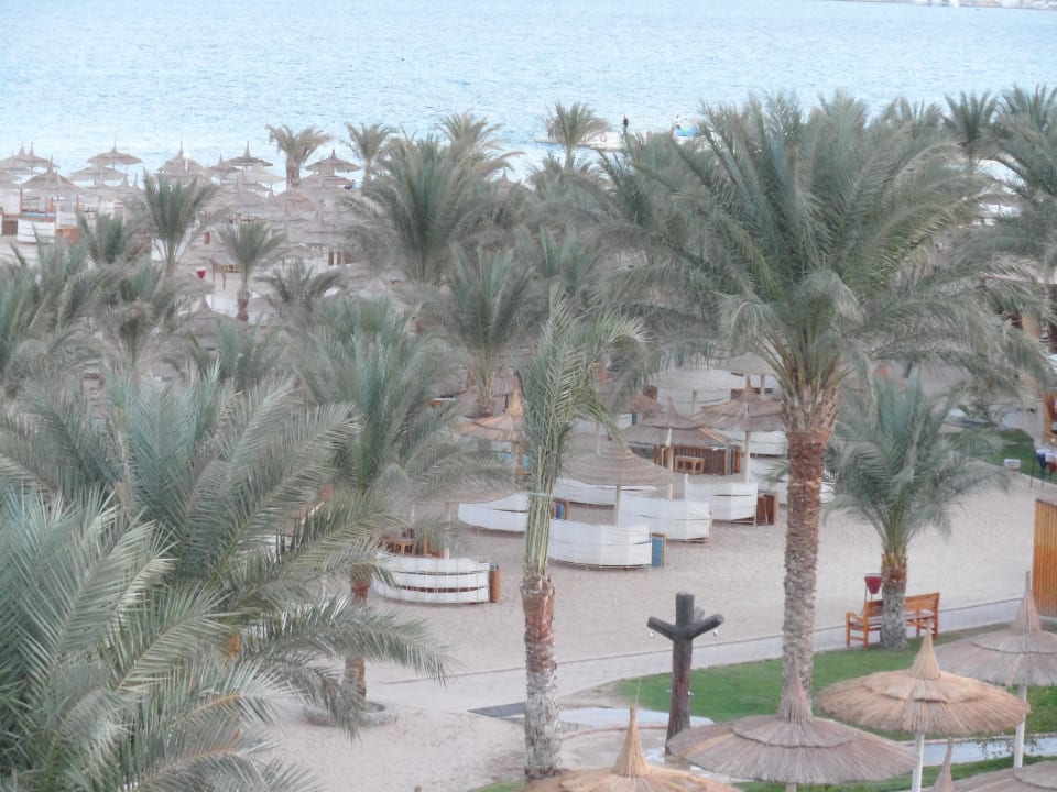 Strandbereich Beach Albatros Resort