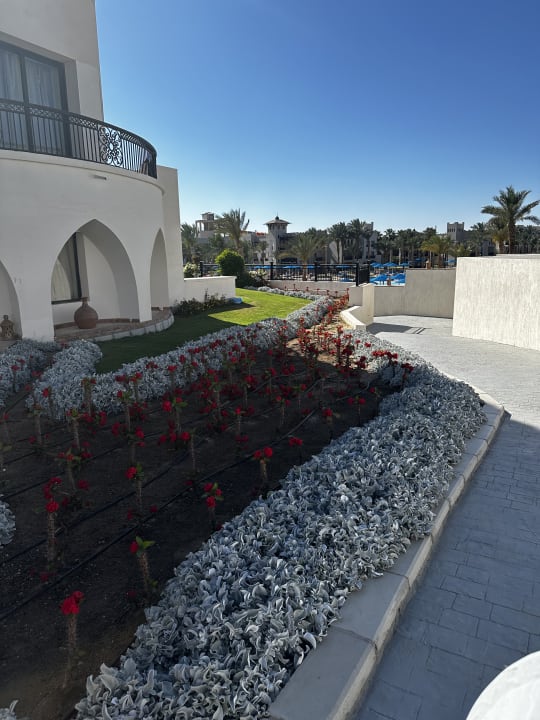 Gartenanlage Pickalbatros Palace Hotel-Port Ghalib