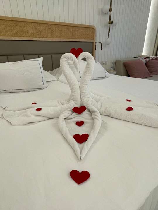 Zimmer Lara Barut Collection