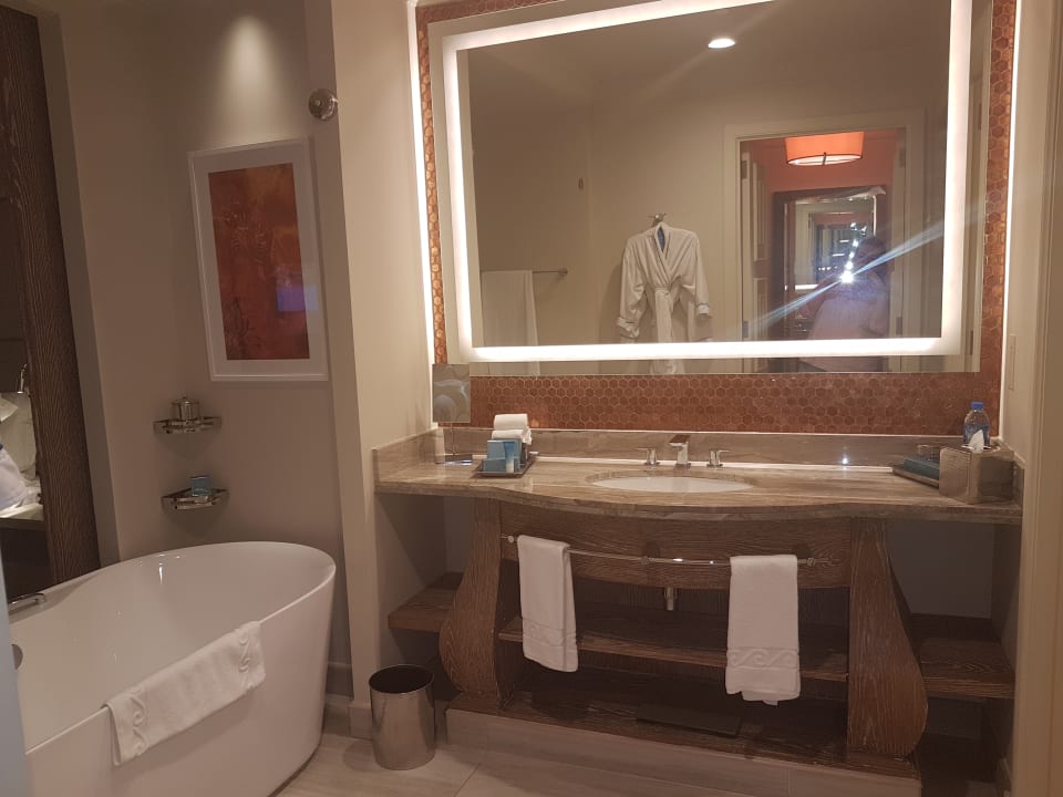 Zimmer Atlantis, The Palm