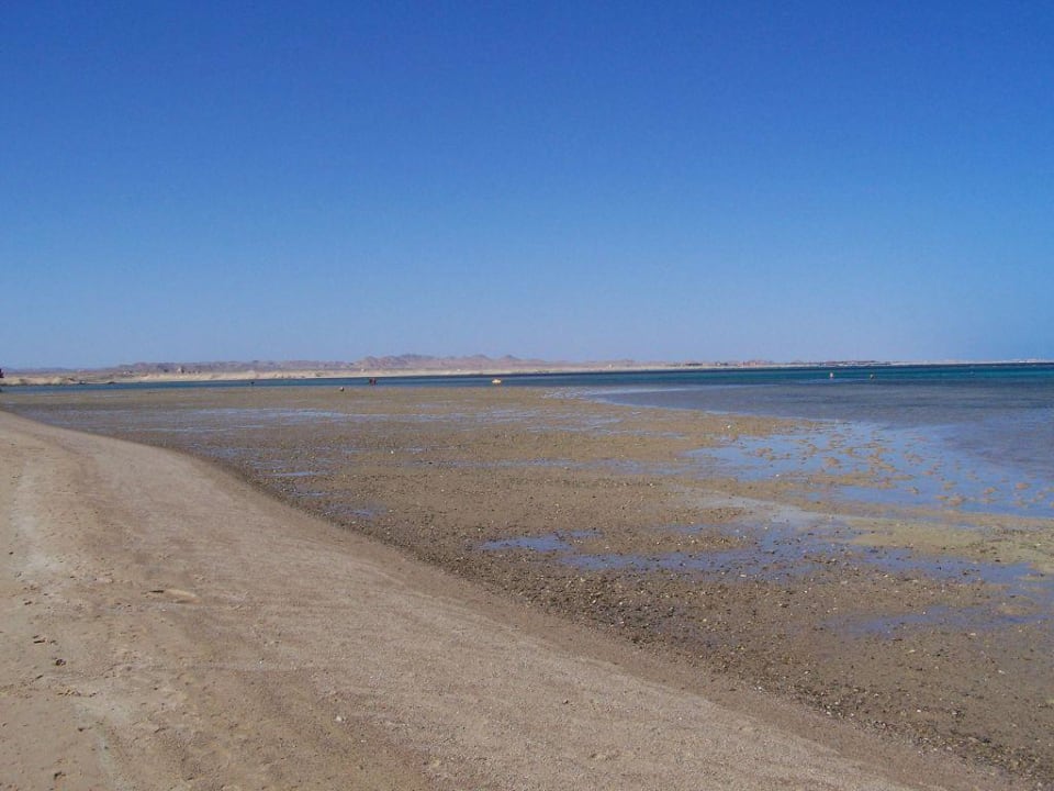 Strand bei Ebbe Swisstouch Oriental Resort Marsa Alam