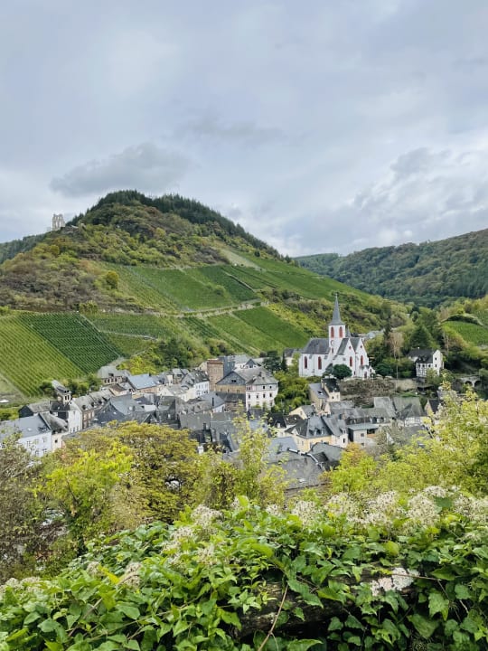Ausblick Weinhaus-Hotel Gräffs-Mühle