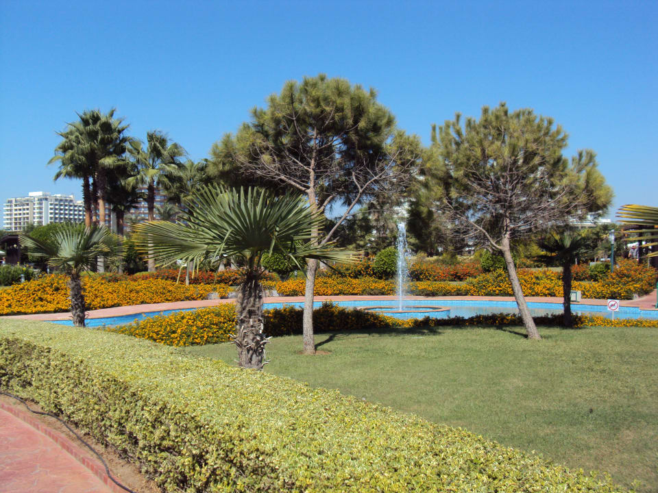 Miracle Hotel Miracle Resort