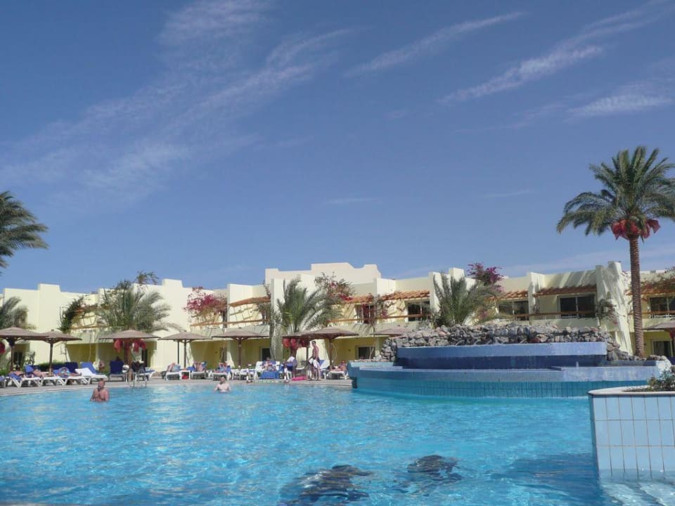 Pool Palm Beach Resort