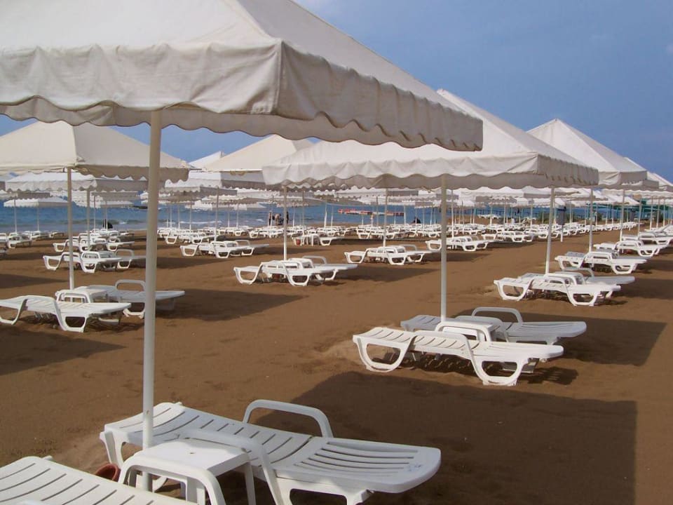 Strand 2 Arum Barut Collection