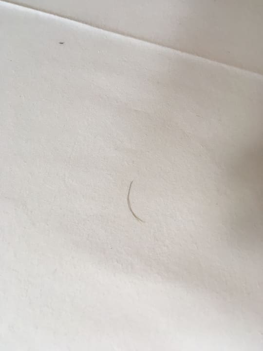 Zimmer TITANIC Comfort Berlin Mitte