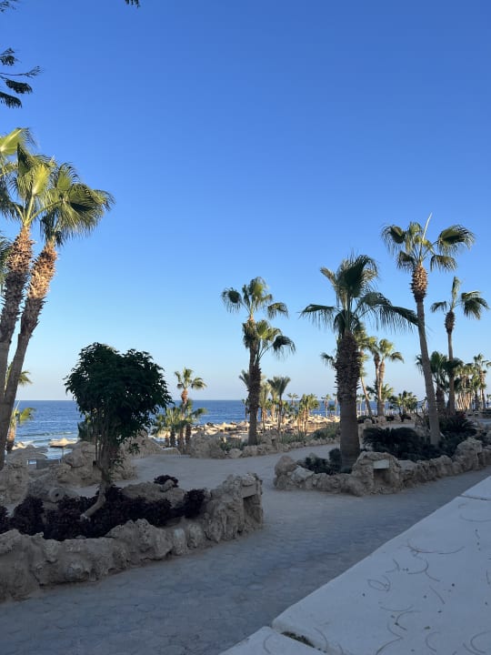 Strand Pickalbatros Citadel Resort