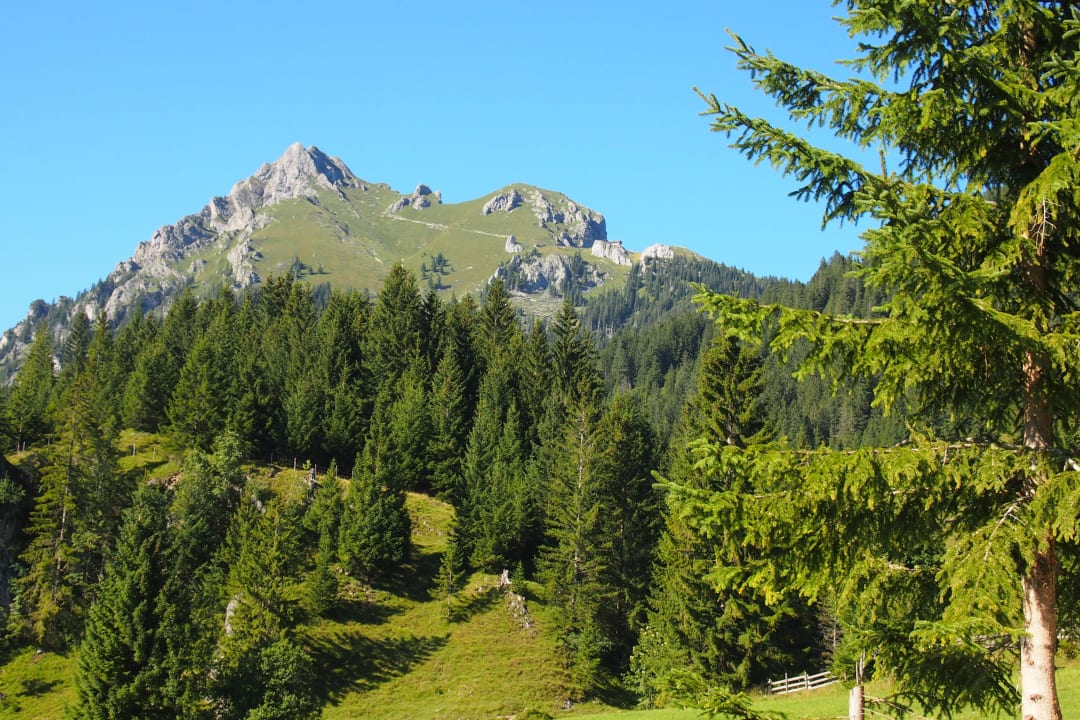 Umgebung  Haus Bergwelt