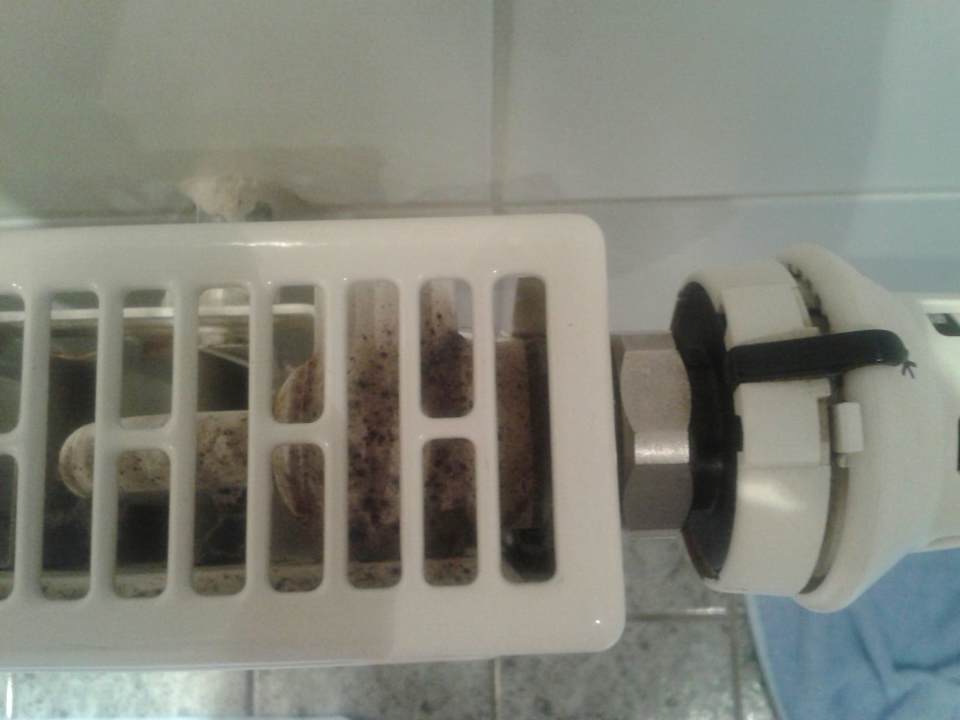 Zimmer Ferienwohnanlage Kaiserhof