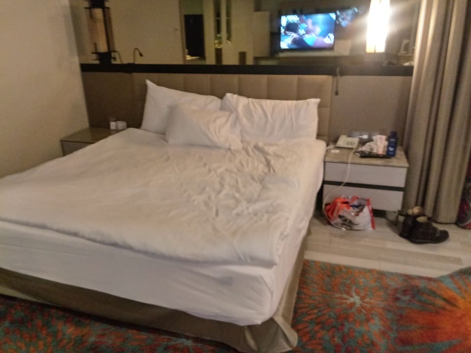 Zimmer Royal Seginus