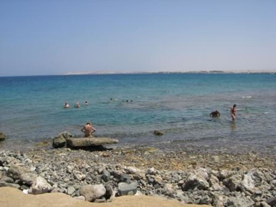 Schnorchel Strand Beach Albatros Resort