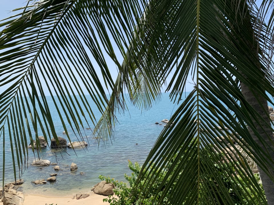 Ausblick Coral Cliff Beach Resort