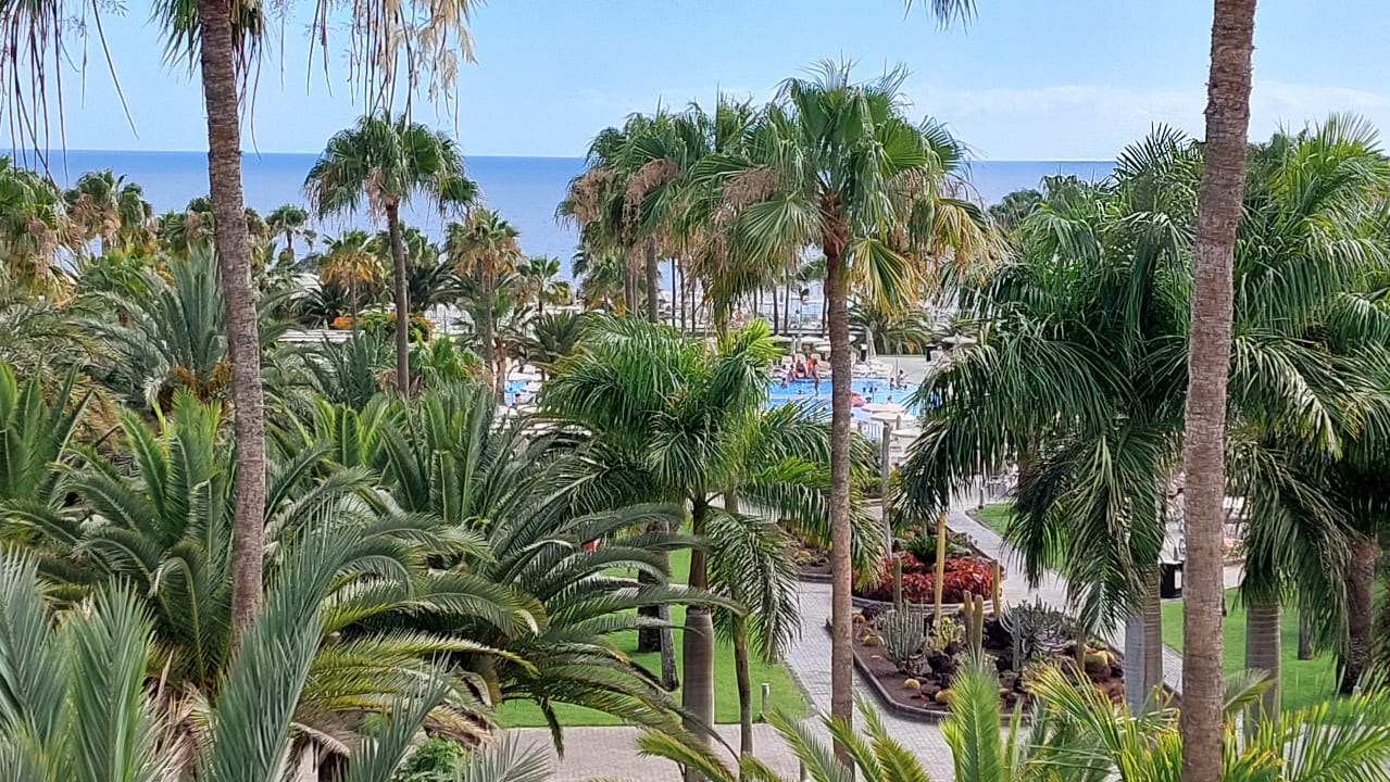 Ausblick Hotel Riu Gran Canaria