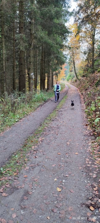 Ausblick Berghotel Hoher Knochen