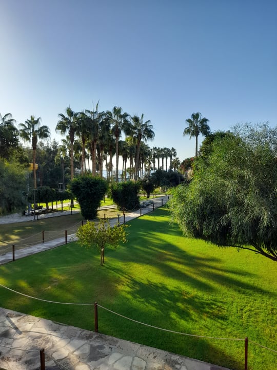 Gartenanlage Arum Barut Collection