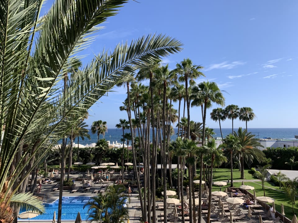 Ausblick Hotel Riu Palace Oasis