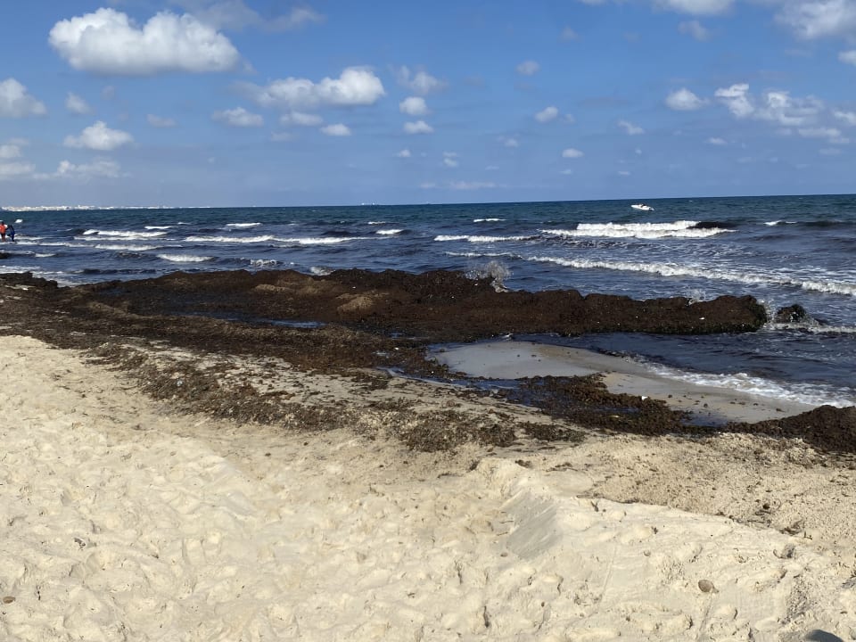 Strand Sahara Beach Aquapark & Resort