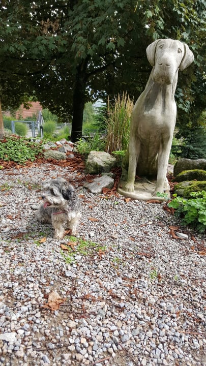 Gartenanlage Hotel Bergfried