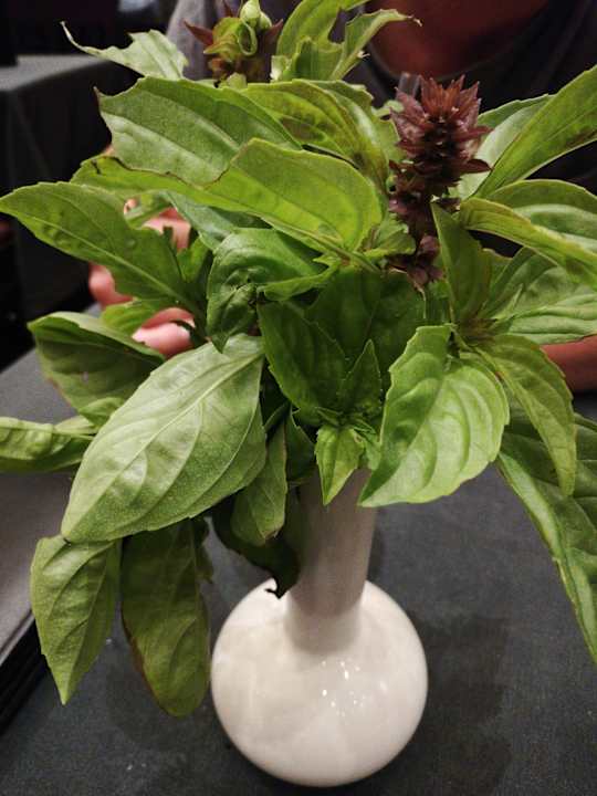 Gastro Cleopatra Luxury Resort Makadi Bay