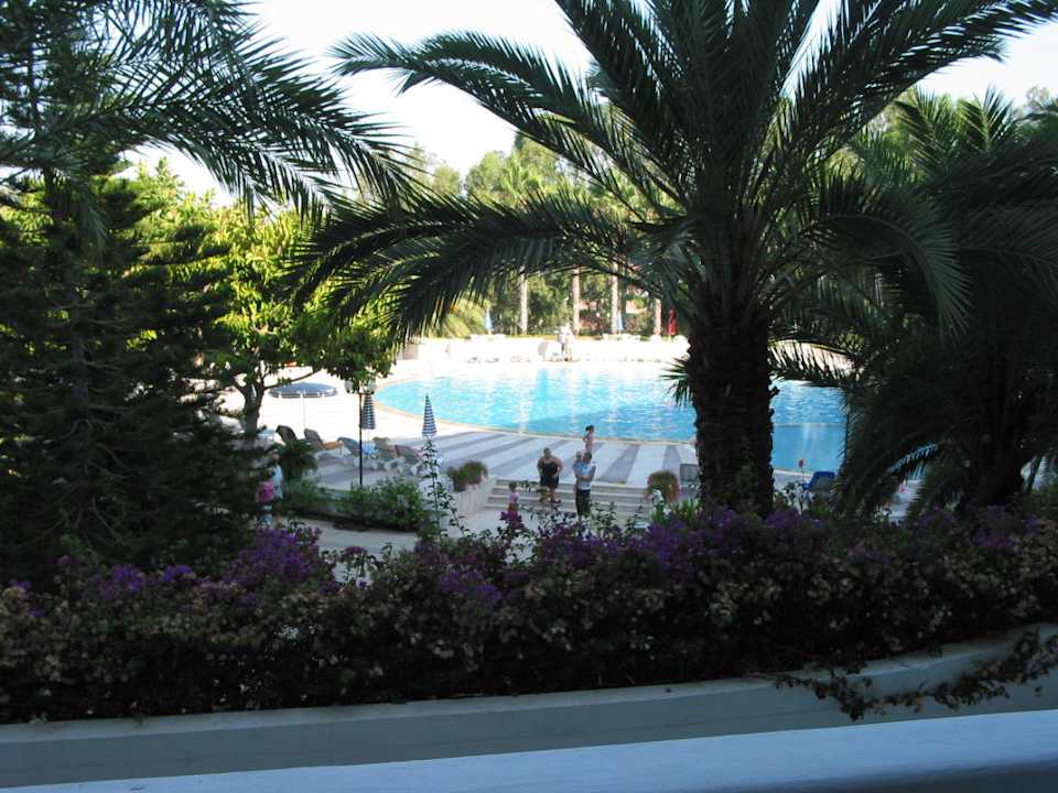 Poolansicht Top Hotel