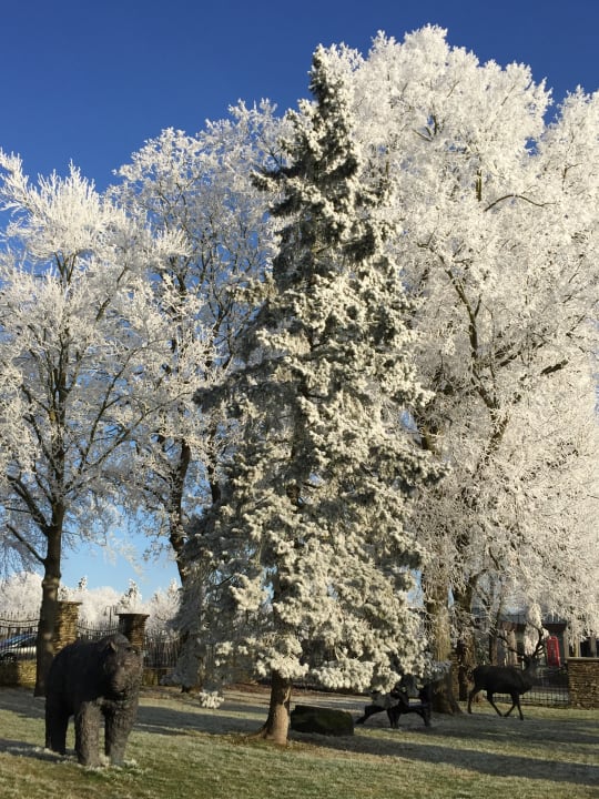 Gartenanlage Hotel Klostergut Jakobsberg