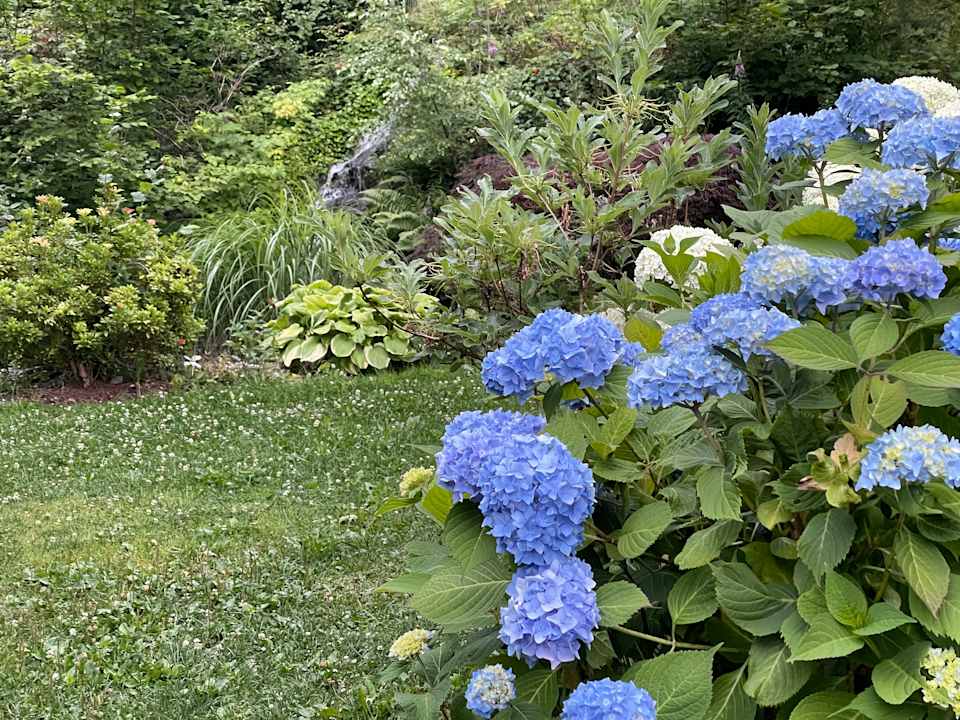 Gartenanlage Spirit & SPA Hotel Birkenhof am Elfenhain