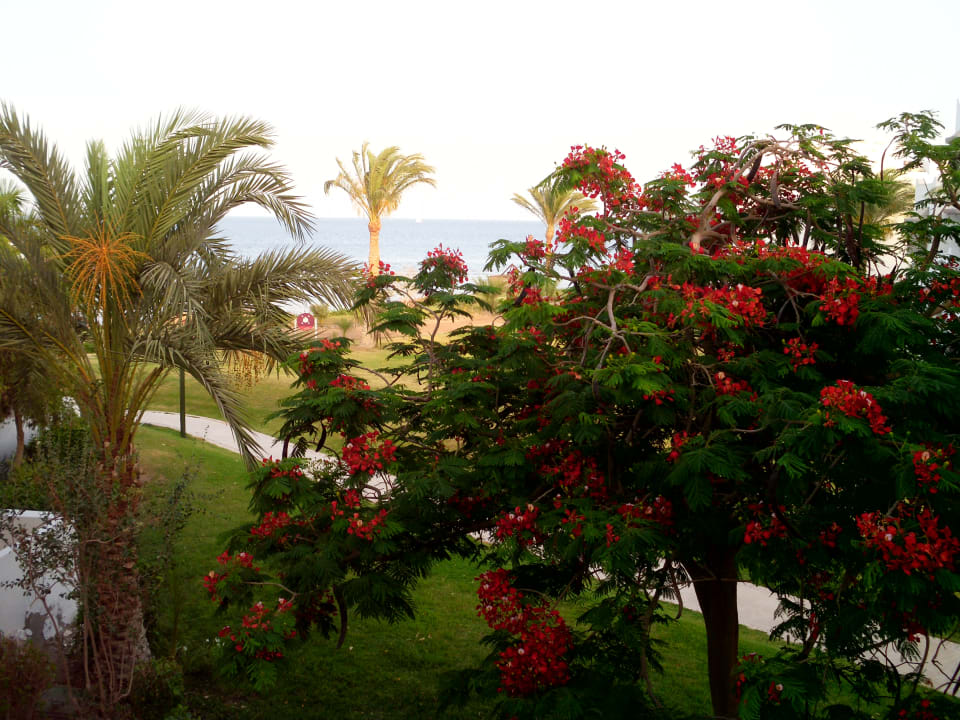 Ausblick Hotel Mercure Hurghada