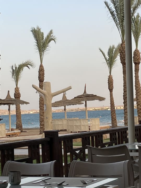 Gastro Beach Albatros Resort