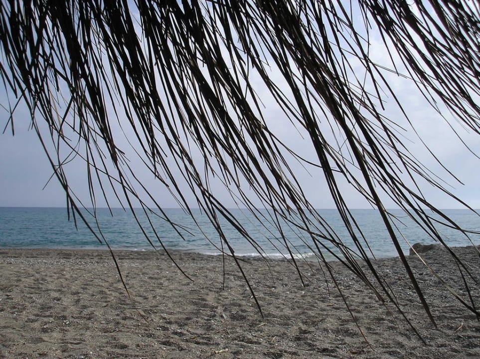 Пляж Starlight Resort Hotel