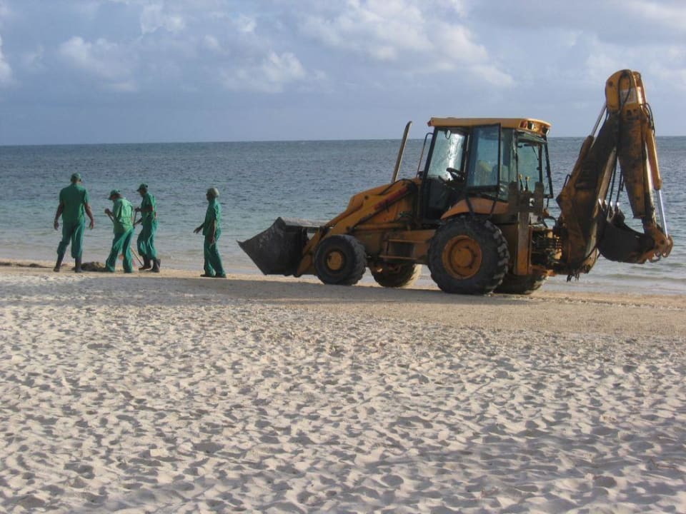 Strandreinigung Catalonia Punta Cana - All Inclusive